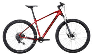 SPRINT APOLON PRO 29″